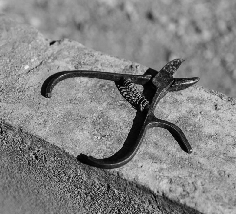 tirejas-cortar-naranja-cardo